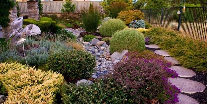 Drought Tolerant Landscape Plants Plants For Landscaping - Landscaping Network Photo 463