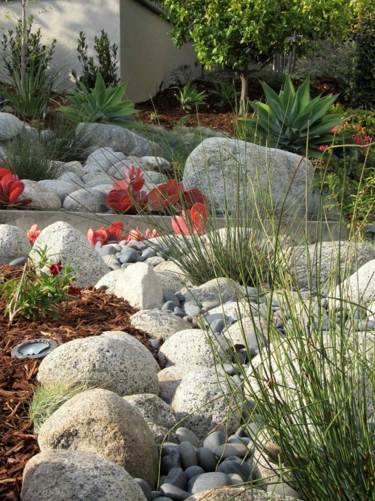 Dry Landscape Garden Fairy Yardmother Landscape Design: Dry Creek Bed Photo 061