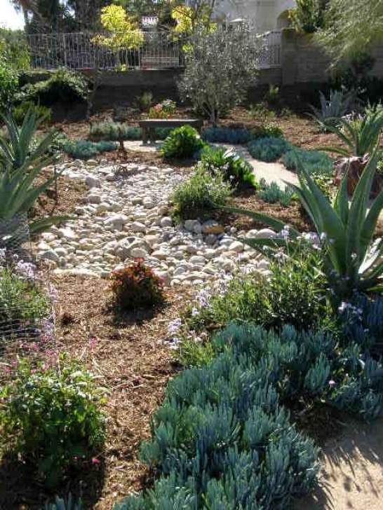 Dry River Bed Front Yard Dry Yard Landscaping | Dry Creek Bed, Dry Riverbed Image 800