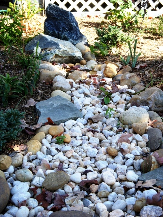 Dry River Bed Garden How To Build A Dry Creek Bed Picture 873