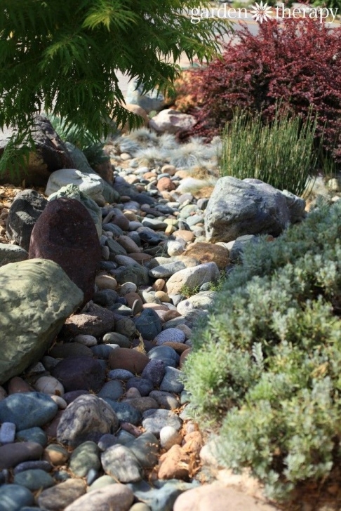 Dry River Bed Garden Landscaping For Drought: Inspiring Gardens That Save Water Picture 022