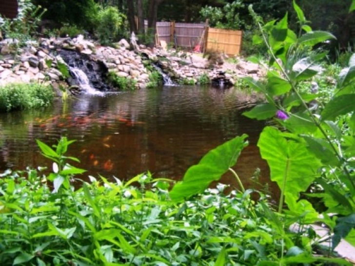 Earth Garden &amp; Landscaping Landscape Design (A) By Natural Earth Garden Designs Picture 687