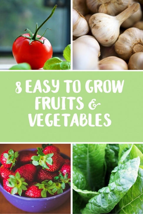 Easiest Fruits And Vegetables To Grow 8 Easy-To-Grow Fruits &amp; Vegetables - Wallflower Kitchen Image 410