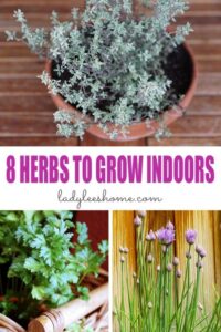 Easiest Herbs To Grow Indoors 8 Herbs To Grow Indoors Year Round | Lady Lee'S Home Image 933 Easiest Herbs To Grow Indoors 8 Herbs To Grow Indoors Year Round | Lady Lee'S Home Image 933