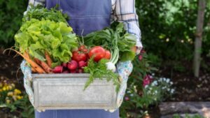 Easiest To Grow Vegetables The 8 Easiest Vegetables To Grow For Beginners - Food Photo 700