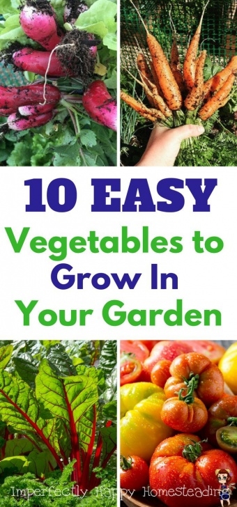Easiest Vegetables To Grow Indoors 10 Easy To Grow Vegetables For The Frustrated Gardener Picture 121