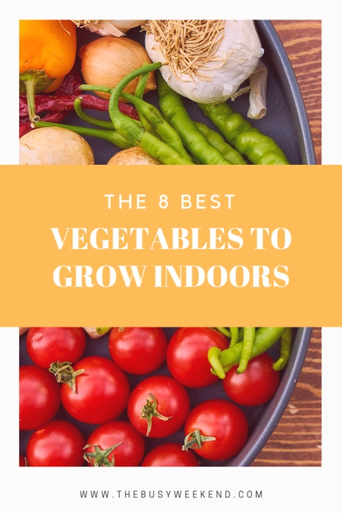 Easiest Vegetables To Grow Indoors 8 Of The Best Vegetables To Grow Indoors Picture 664