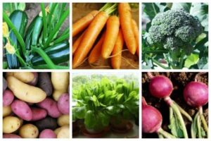 Easiest Veggies To Grow The 14 Easiest Vegetables To Grow - Ideal Me Image 562