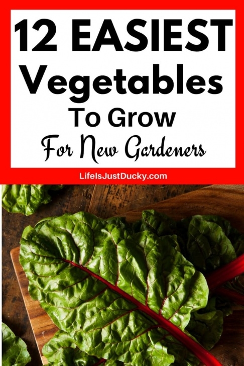 Easy Fruits And Vegetables To Grow 12 Easy Vegetables For Beginning Gardeners - Life Is Just Photo 529