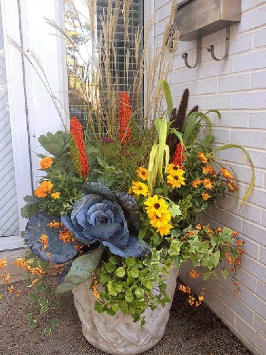 Easy Outdoor Potted Plants 22 Beautiful Fall Planters For Easy Outdoor Fall Photo 042