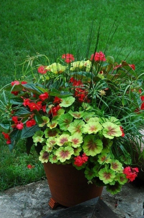 Easy Outdoor Potted Plants 39 Simple Front Yard Landscaping Ideas On A Budget Photo 050