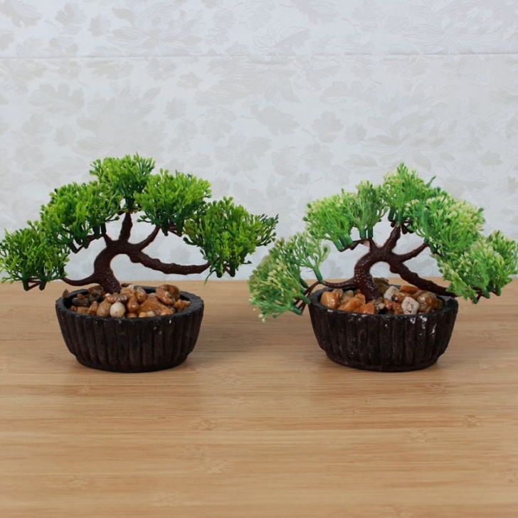 Easy Outdoor Potted Plants Plastic Potted Hand Made Small Welcome Pine Bonsai Picture 879