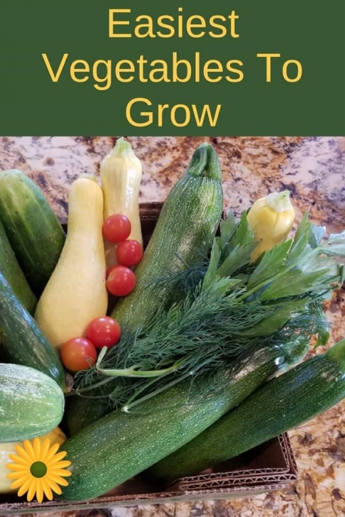 Easy To Grow Veggies Easy Vegetable Gardening For Beginners Picture 783