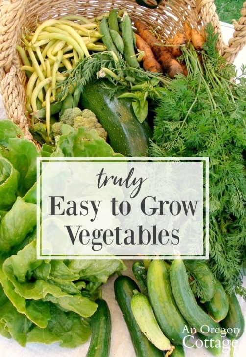Easy Vegetables To Grow At Home 11 Truly Easy Grow Vegetables (+ 4 That Really Aren'T Picture 966
