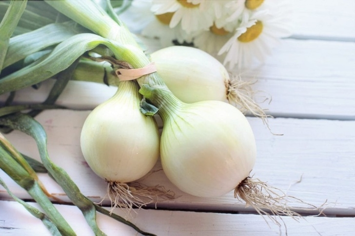 Easy Vegetables To Grow In Pots 10 Easy Organic Vegetables To Grow In Containers Photo 376