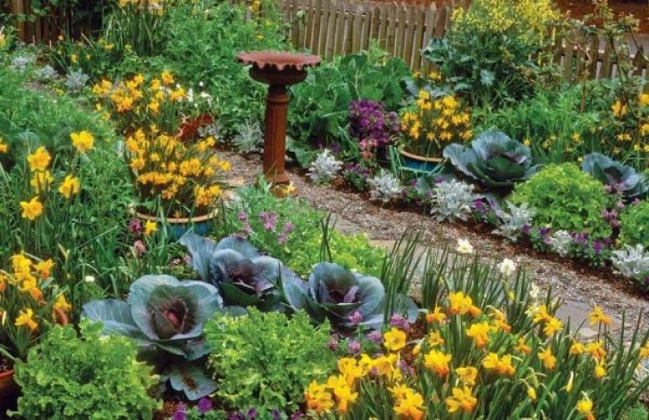 Edible Landscape Design Create An Edible Landscape - Organic Gardening - Mother Photo 608