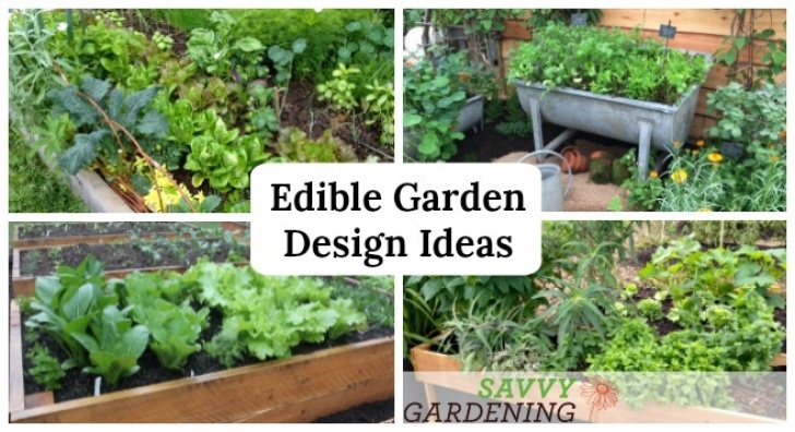 Edible Landscape Design Edible Garden Design Ideas To Boost Production And Image 622