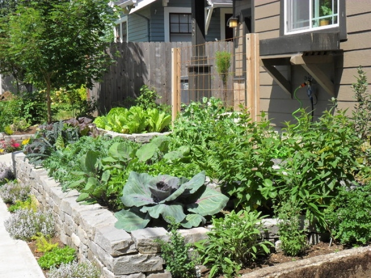 Edible Landscape Design Front Yard Edible Garden - Craftsman - Landscape Image 942