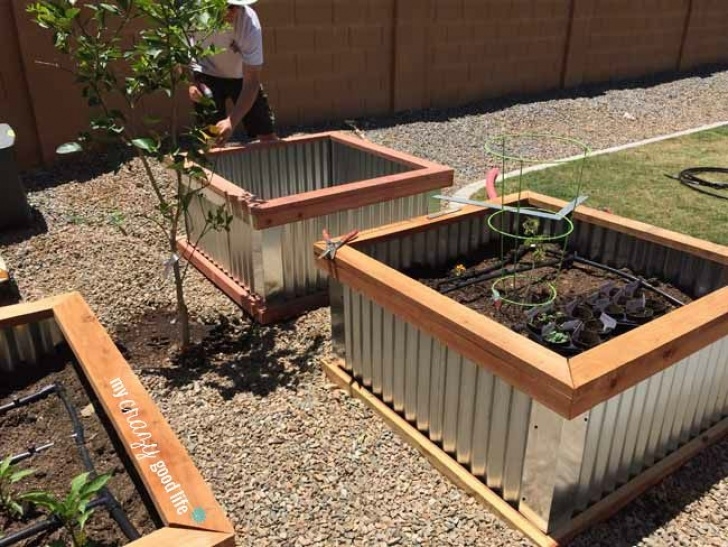 Elevated Garden Bed Plans Diy Diy Raised Garden Beds With Corrugated Metal Photo 289