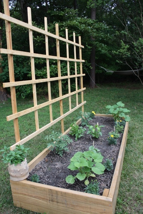 Elevated Raised Garden Bed Plans 12 Free Raised Garden Bed Plans Picture 522