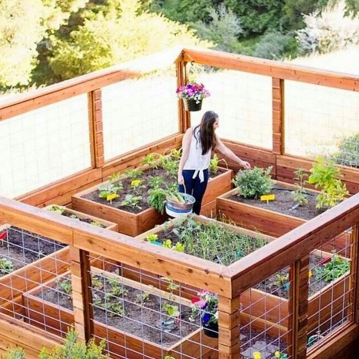 Enclosed Raised Garden Bed Plans 9 How To Build A Raised And Enclosed Garden Bed Picture 746