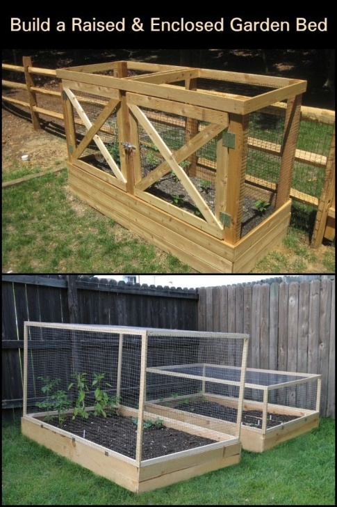 Enclosed Raised Garden Bed Plans Diy Raised And Enclosed Garden Bed | Garden Beds, Enclosed Image 160