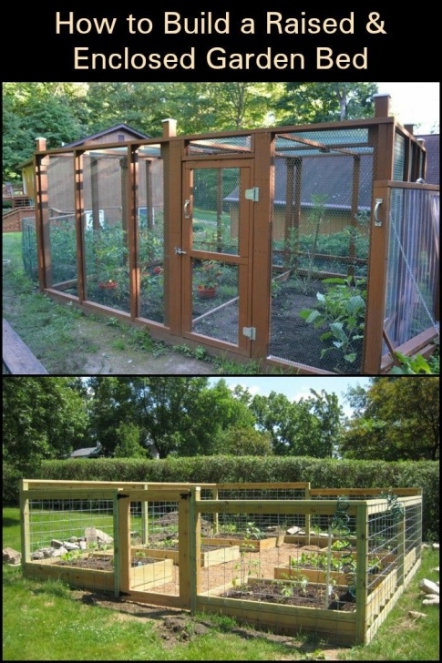 Enclosed Raised Garden Bed Plans Do You Or Know Anyone Who Needs To Have One In Their Picture 105