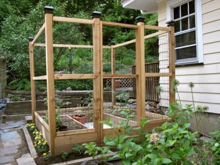 Enclosed Raised Garden Bed Plans Enclosed Raised Garden Bed | Deer Resistant Garden, Veggie Photo 675