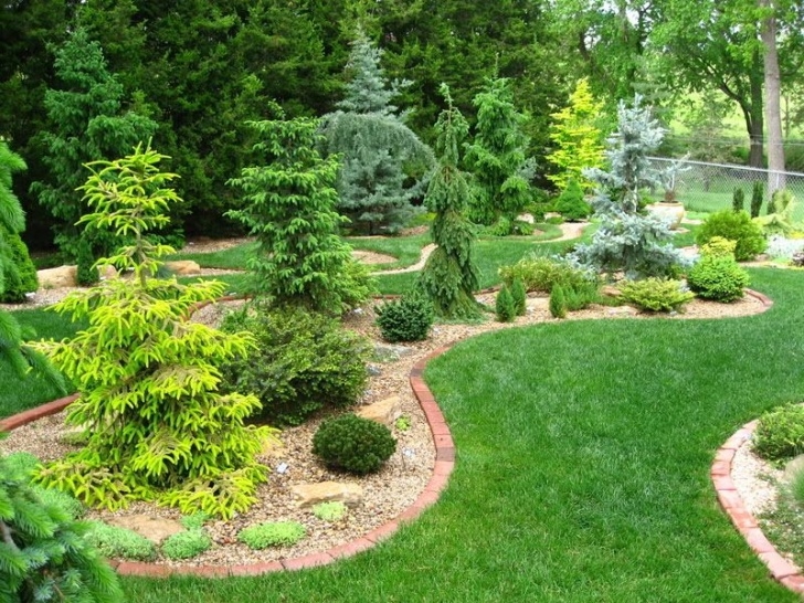 Evergreen Trees For Small Gardens Conifer Bed Design | Evergreen Landscape, Backyard Garden Picture 368