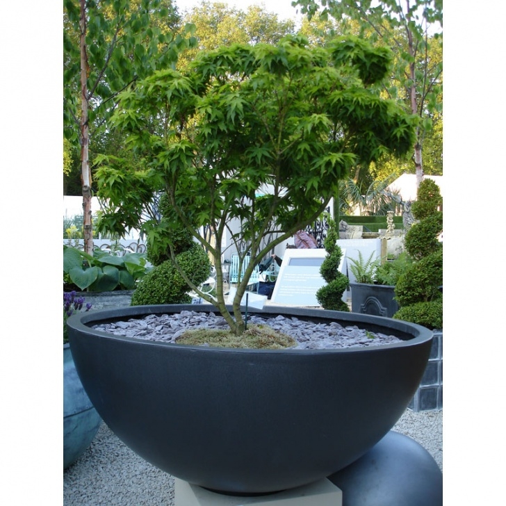 Extra Large Planters For Trees Faux Lead Bowl Planter From Potstore.co.uk Image 148