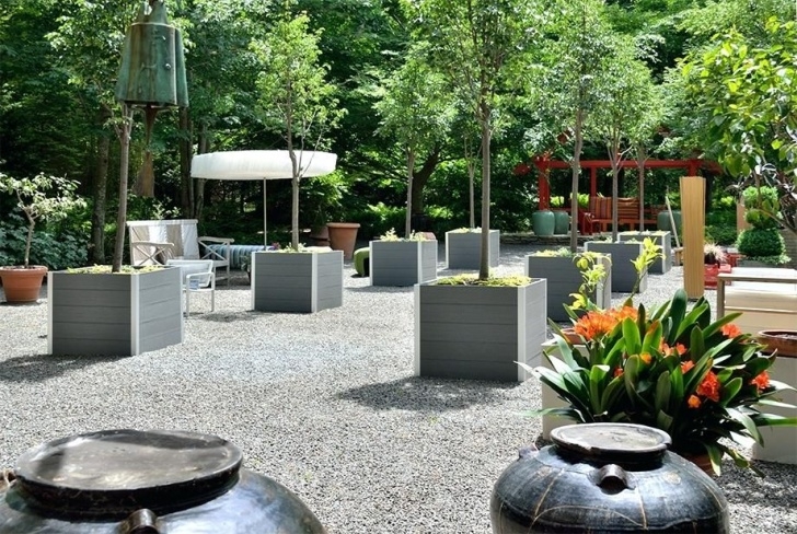 Extra Large Planters For Trees Large Pots For Trees Large Planters For Trees Extra Large Photo 639