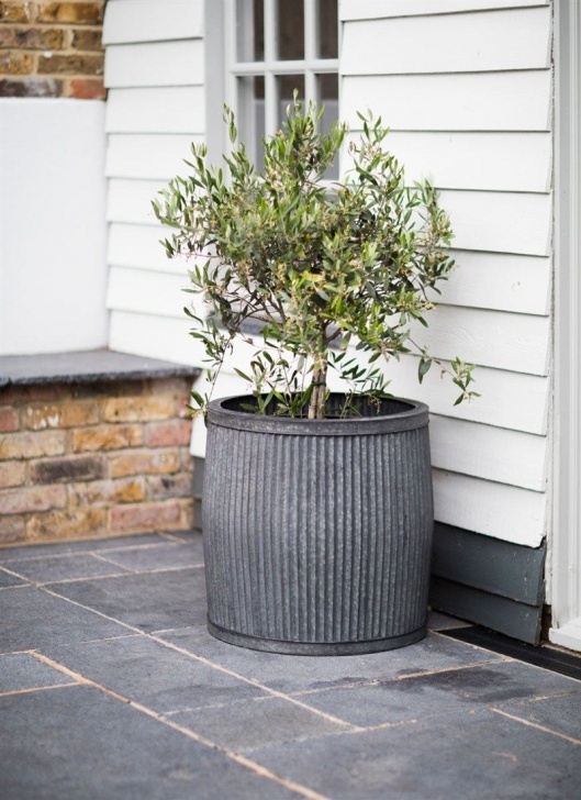 Extra Large Planters For Trees The Extra Large Vence Planter Can House Larger Plants Or Photo 788