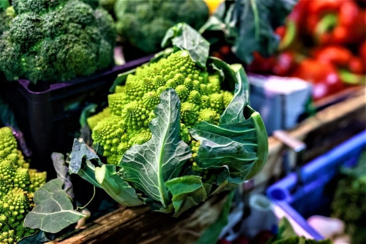 Fall And Winter Vegetables Fall-Winter-Vegetables-Blog-Header - Bark And Garden Center Picture 687