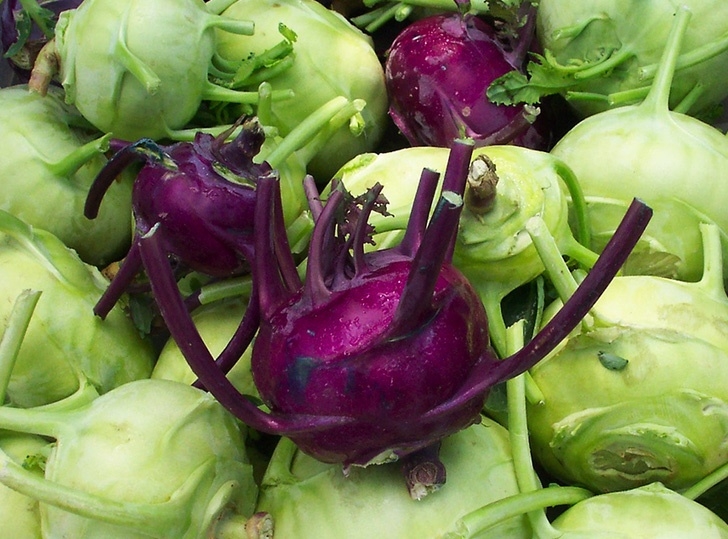 Fall And Winter Vegetables Winter Fall Vegetables To Grow « Inhabitat – Green Design Photo 038