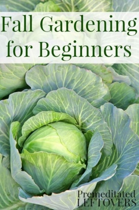 Fall Winter Vegetables 246 Best Gardening Images On Pinterest | Healthy Nutrition Image 592