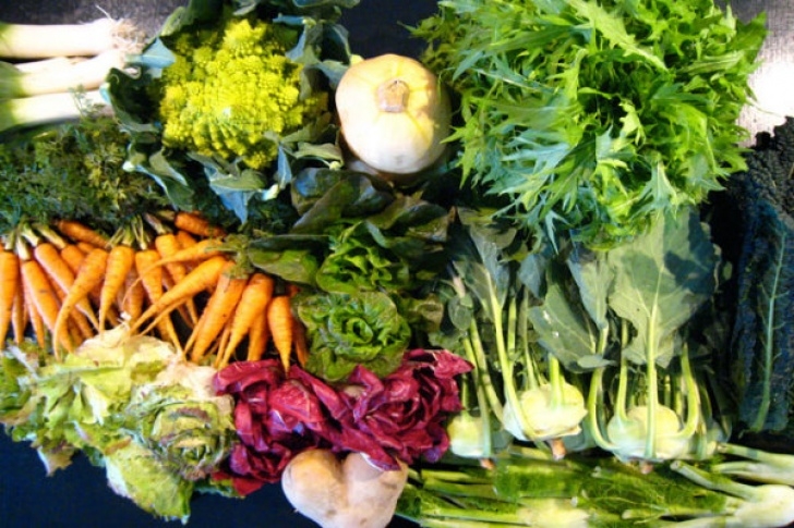 Fall Winter Vegetables Best Vegetables For This Winter Season Image 251