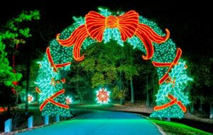Fantasy In Lights Christmas In July Sale - Save On Fantasy In Lights Tickets Picture 517