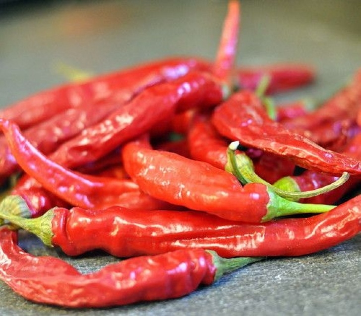 Fertilizer For Pepper Plants Best Fertilizer For Jalapeno Peppers | Cromalinsupport Picture 374