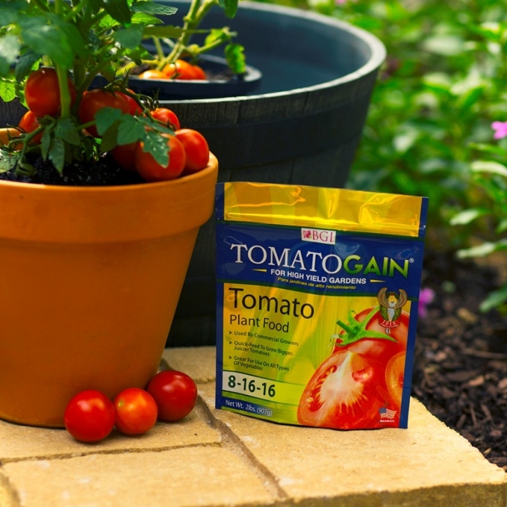 Fertilizer For Pepper Plants What Is The Best Fertilizer For Pepper Plants Picture 641