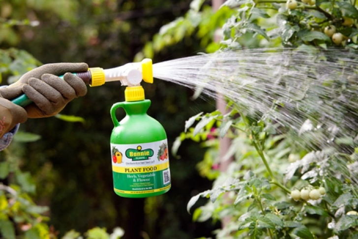 Fertilizer For Vegetable Plants Methods Of Applying Fertilizer · Soil And Water Conservation Image 262