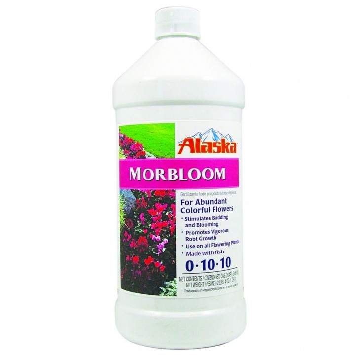 Fish Fertilizer For Indoor Plants Alaska Morbloom Fertilizer Promote Root Growth Blooming Image 713