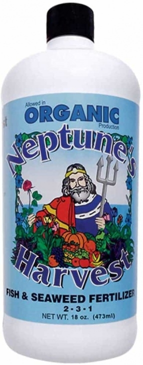 Fish Fertilizer For Indoor Plants Best Organic Houseplant Fertilizers - Creative Homemaking Picture 863