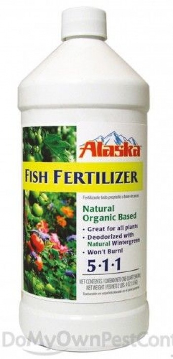 Fish Fertilizer For Indoor Plants Pennington Alaska Fish Emulsion Fertilizer Concentrate 5-1 Image 748