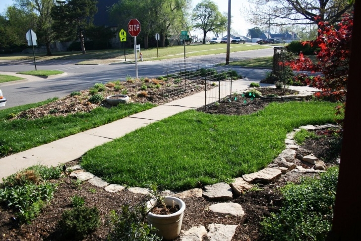 Flower Bed Borders Home Depot Decor: Cheap Landscape Border | Landscape Edging Ideas Photo 592