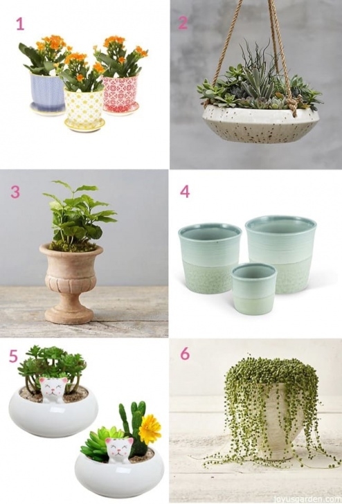 Flowers For Small Pots Small Pots For Succulents Image 645