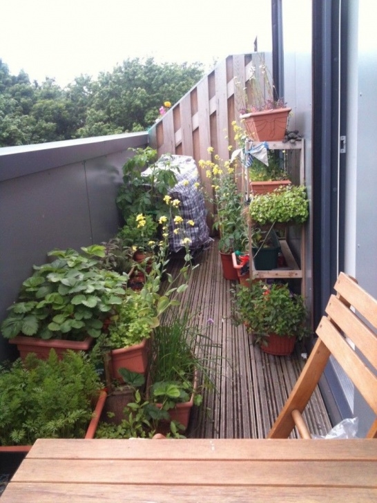 Flowers For Vegetable Garden Balcony Vegetable Garden Ideas | Decoration, Balcony Image 706