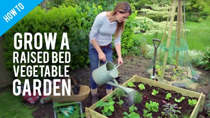 Flowers To Plant With Vegetables How To Grow Vegetables In Raised Bed Gardens - Youtube Picture 417