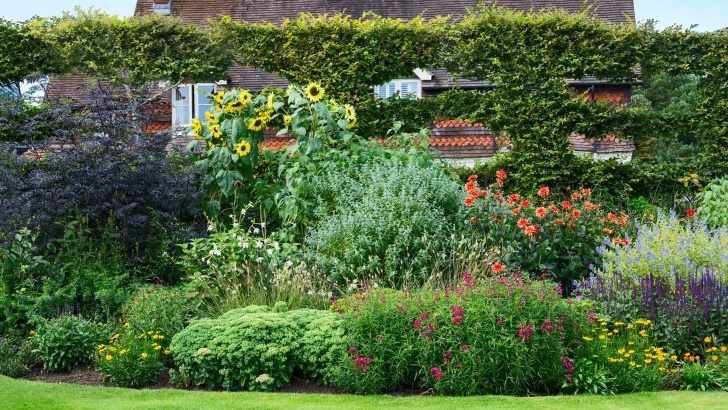 Fratangelo Gardens Landscaping &amp; Nursery Helen And Richard Keys Gave This Garden New Life Picture 227