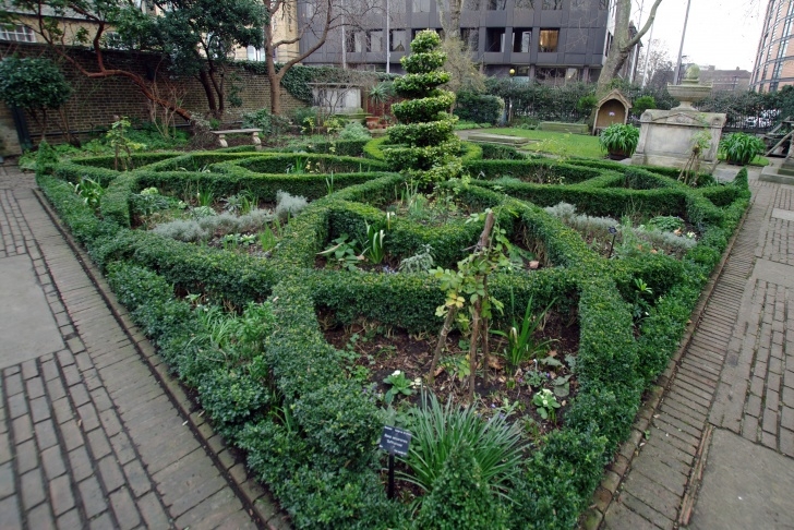 Fratangelo Gardens Landscaping &amp; Nursery Knot | Ferrebeekeeper Image 463