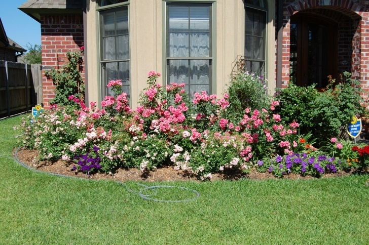 Front Yard Flower Bed Designs Jeannie'S Fairy Rose Louisiana Garden: Lantana In My Front Photo 467